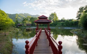 Circuit privé : Vietnam essence et bien-être