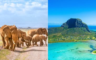 La Maison 20 Degrés Sud 5* et safari possible de 3 à 5 nuits 