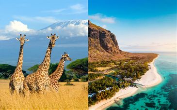 Safari privé & Radisson Blu Azuri Resort & Spa 4*