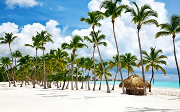 Santo Domingo Bay 4*