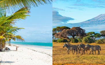 The Baobab Beach Resort & Spa 4* et safari inclus