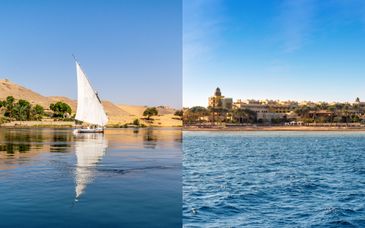 Circuit en groupe en hôtels 4* et croisière 5* Jaz : Le Caire, le Nil et la mer Rouge