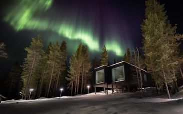 Séjour multi-activités au Arctic TreeHouse Hotel 5*