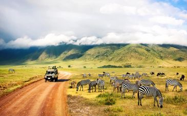 Safari en Tanzanie et extension au Toa Hôtel & Spa 5*