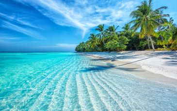 Bandos Maldives 4*
