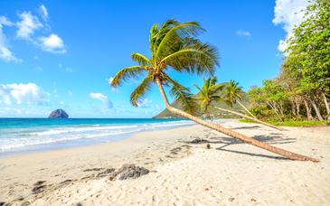 Séjour découverte : Au départ de la Résidence l’Ilot Bleu