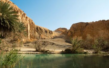 Circuit en groupe : Douceurs méditerranéennes
