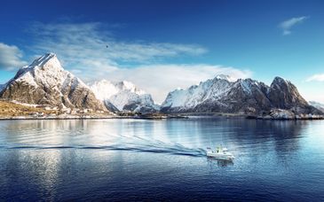 Circuit en liberté : Les Fjords de Norvège