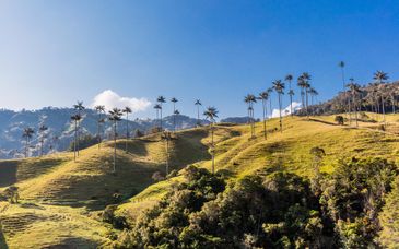 Circuit en liberté : les incontournables de la Colombie