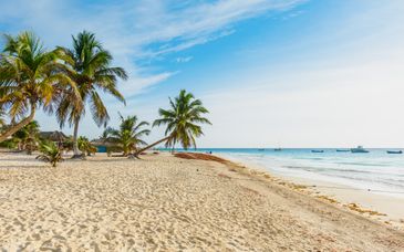 Devossion by Live Aqua Playa del Carmen 5*