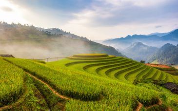 Circuit privé en 4* ou 4* et 5* : Couleurs du Vietnam avec extension balnéaire possible
