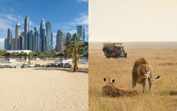 Hôtel Hilton Al Habtoor City Dubai 5* et Baobab Beach Resort 4* avec safari