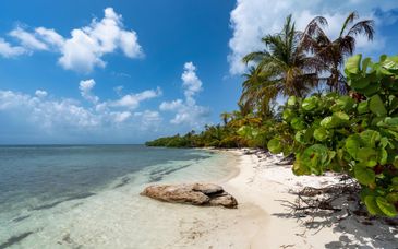 Circuit en liberté : Le Panama entre deux océans