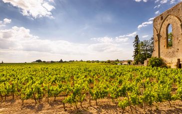 Circuit en liberté en hôtels 4* : Sur la route des grands crus