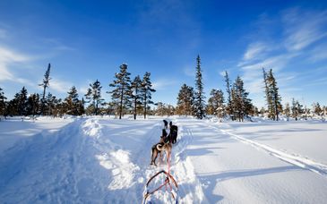Circuit en groupe : Merveilles d'hiver au Québec et extension possible à Vancouver