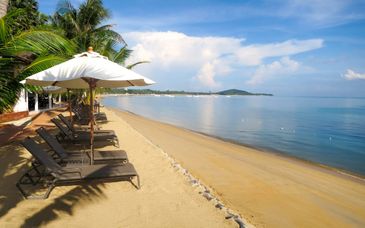 Royal Orchid Sheraton Riverside 5*, Paradise Beach Resort Koh Samui 4*, Sai Daeng Resort Koh Tao 4*