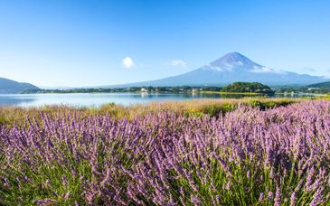 Circuit privé : Evasion dans les Alpes japonaises
