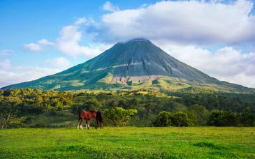 Autotour : Merveilles du Costa Rica avec extension possible