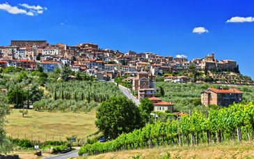 Grand Hotel Terme 4*