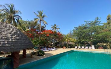 African Village Bougainvillées