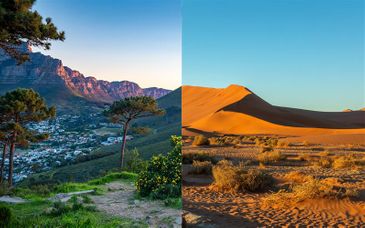 Rockefeller Hotel & Residence 4* + Tour in auto in Namibia