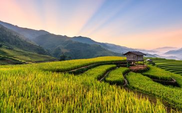 Tour privato in hotel 4* o 5*: La ricchezza del Vietnam con possibile pre-estensione a Singapore