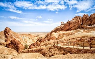 Tour di gruppo in 7 notti: L'essenza del deserto