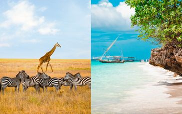 Safari in Tanzania e soggiorno al Sea Cliff Resort & Spa 5*