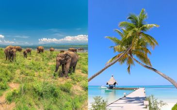 Safari a Ceylan e Canareef Resort Maldives 4*