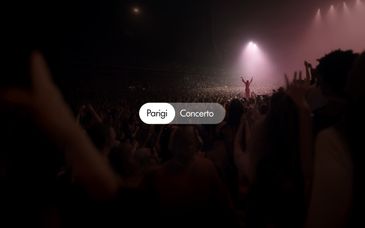 Concerto di Celine Dion e Hotel Perpetual - Elysées-Montaigne 4*