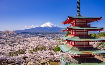 Tour in libertà: Il Giappone da Est a Ovest