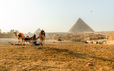 Tour di gruppo: Tra deserti e civiltà millenarie