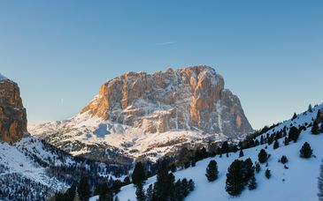 Hotel Reipertingerhof