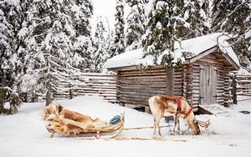 Soggiorno multiattività a partire dall'Hotelli Suomutunturi 4*