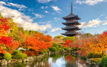 Soggiorno in libertà: Tra cultura, storia e innovazione