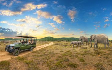 Emozionante Sudafrica: alla scoperta dei Big 7