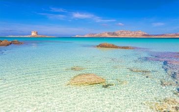 Cala Rosa Club Hotel 4*