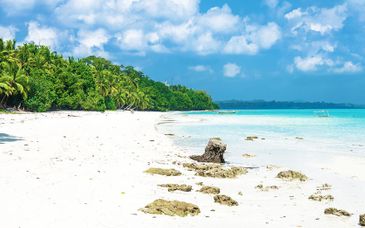 Tour privato del Kerala con soggiorno alle Isole Andamane
