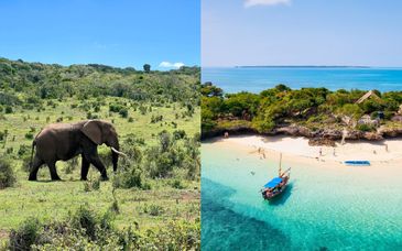 Safari van 4 tot 7 nachten + Sun Bay Beach Hotel Zanzibar 4*