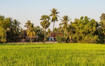 11-17 night tour: Laos & Cambodia essentials