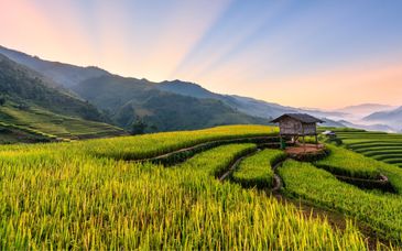 13-19 night tour: A discovery of Vietnam from land to sea