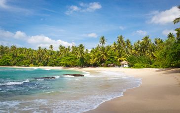7-14 night tour: Discover Sri Lanka & beach escape
