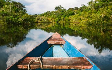 Captivating Brazil : Pantanal wildlife and Rio de Janeiro