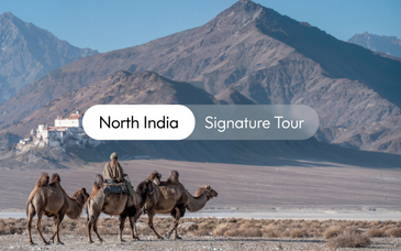 17-19 night private tour: India between sky and palaces / Voyage Privé signature