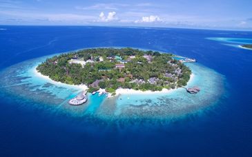 Bandos Maldives 4*