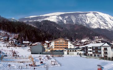 Hotel Grauer Bär 4*