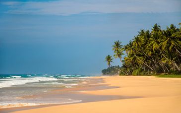 Duo: 3 night Sri Lanka tour & Shangri-La Hambantota 5*