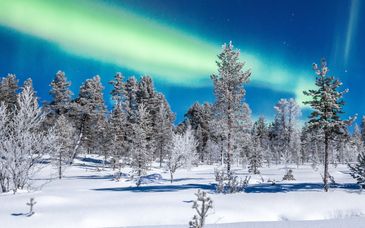 Nordic Lapland Resort
