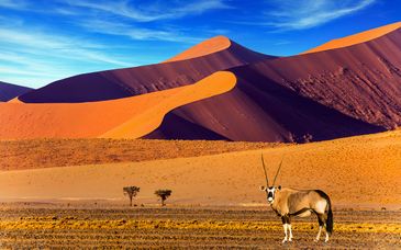 8 or 12-night tour: Namibia with a possible extension to Botswana and Victoria Falls