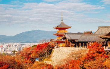 8-11 night tour: Another side of Japan